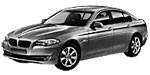 BMW F10 P117B Fault Code